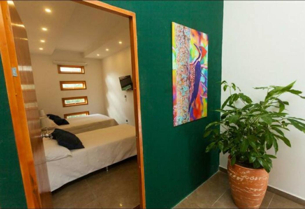 Albore Hostal بيريرا المظهر الخارجي الصورة