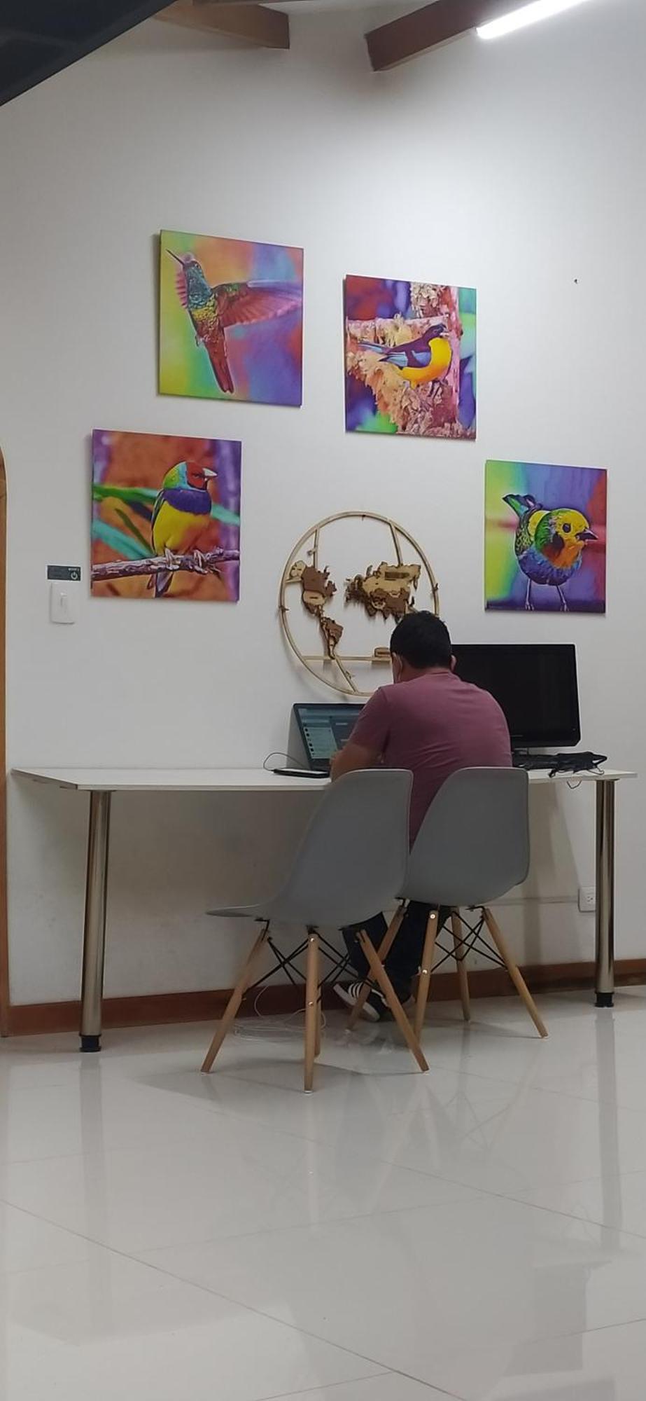Albore Hostal بيريرا المظهر الخارجي الصورة
